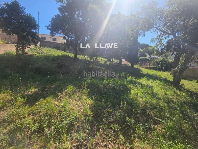 Foto 8b5c031d-5e7d-402d-b570-91394acc7b7e. Landgut in Mas Mora-Sant Daniel Tordera