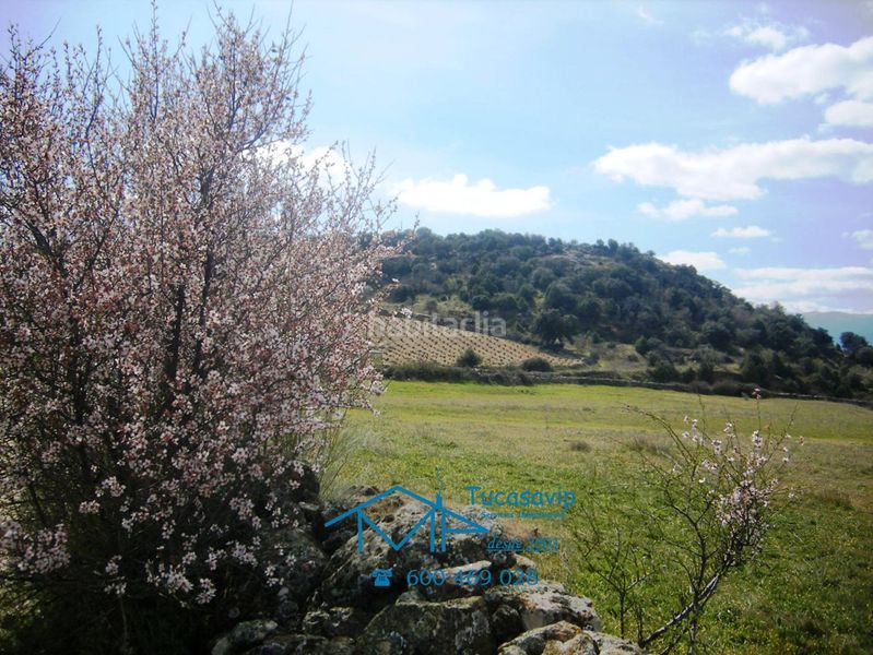 Foto 1af90d3b-9031-4314-b130-6b144f9ab544. Wohngrundstück in Cebreros