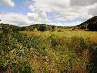 Terreno residenziale in Cebreros