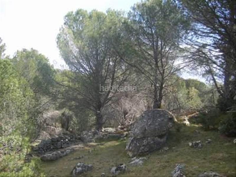 Foto 03a45fe4-3160-478d-b05d-5107ba6a4c2c. Terreno residencial en Cebreros