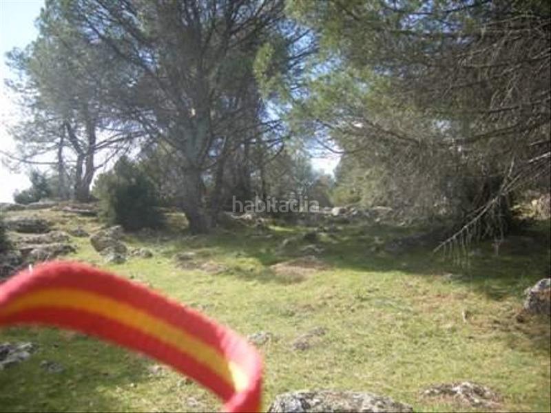 Foto 06c247fa-a707-45bc-b5bb-41c7275d128d. Terreno residencial en Cebreros