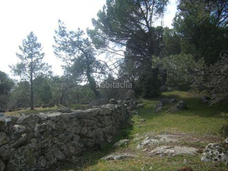 Foto 1692c7ab-f7a6-472c-ba1a-fb1c73665fc3. Terreno residencial en Cebreros