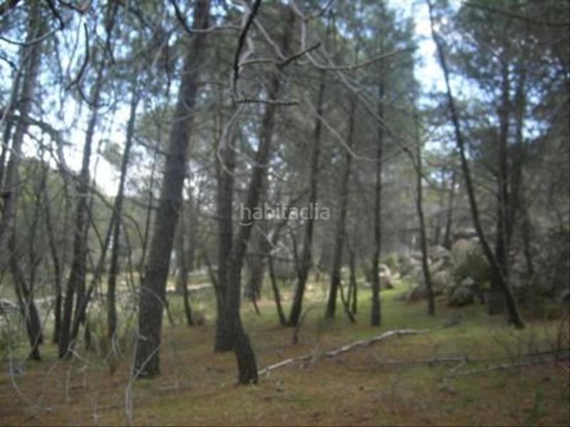 Foto 18f0de66-a153-4afa-803b-31794f803636. Terreno residencial en Cebreros
