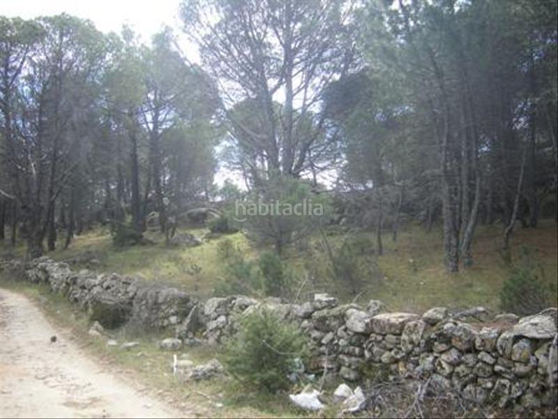 Foto 1eb71c78-a19b-4831-8860-ddc9d4db02ff. Terreno residencial en Cebreros