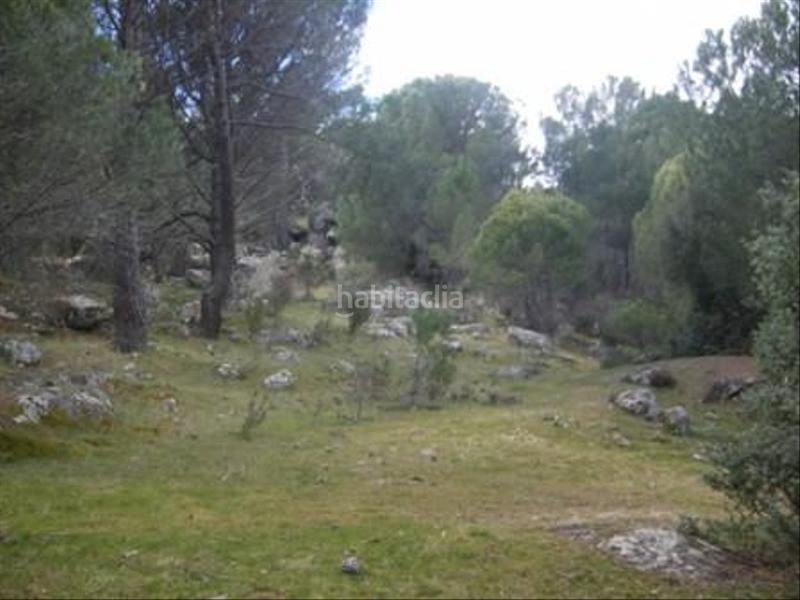 Foto 217a87fb-c7d5-456c-a8d2-f60d8071c8e5. Terreno residencial en Cebreros