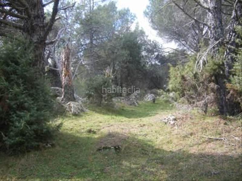 Foto 490b820b-1fcf-4347-b5f5-ef930b920492. Terreno residencial en Cebreros
