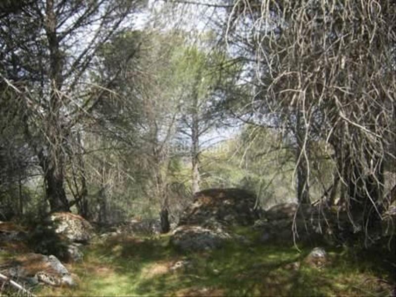 Foto 4a8e4559-a075-47fe-9bf2-66e2d22ee84b. Terreno residencial en Cebreros