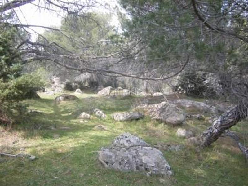 Foto 5c4e2d31-5ac8-410d-bc30-3952d1efdd48. Terreno residencial en Cebreros