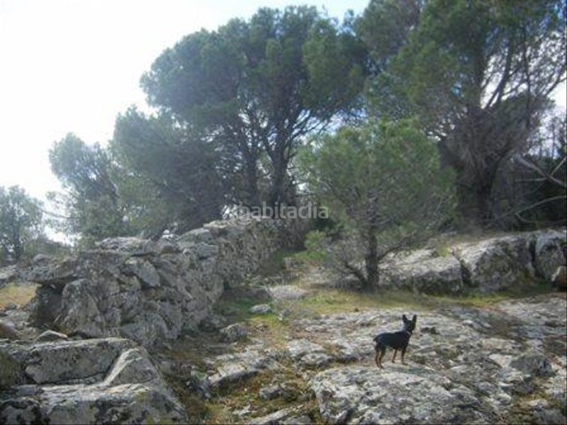Foto 8fa12164-60b5-4571-9396-1614def6c49d. Terreno residencial en Cebreros