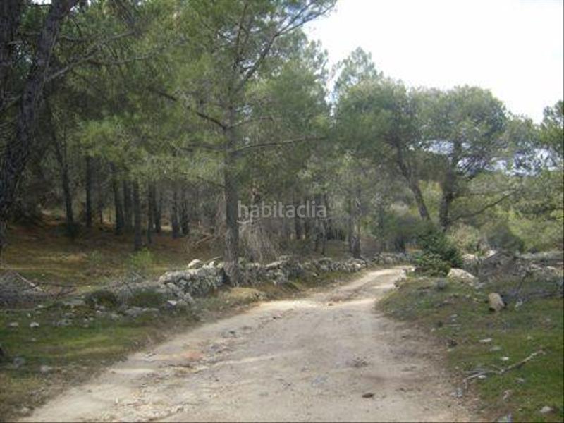 Foto 97e2d672-76f6-448b-b20e-3050af6a2809. Terreno residencial en Cebreros