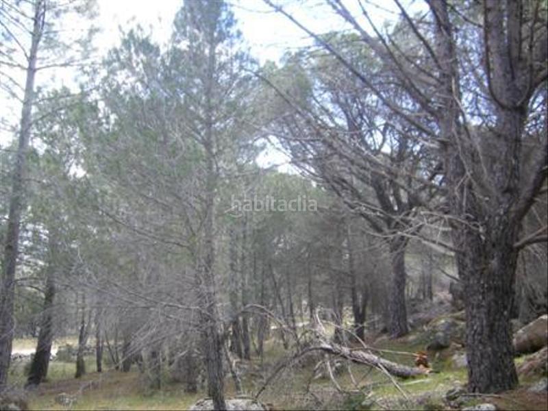Foto a3cf8775-e62a-443e-98f9-53b32b3dbfb1. Terreno residencial en Cebreros