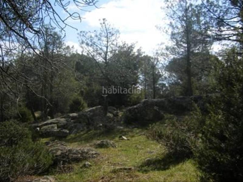 Foto adc73853-9558-45a8-98ad-a5e6ab3ae3a5. Terreno residencial en Cebreros