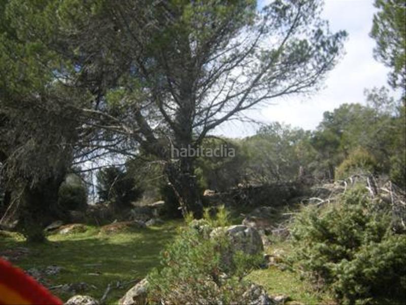 Foto b909856e-6efe-4be5-9622-746b293bce6a. Terreno residencial en Cebreros