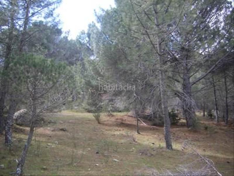 Foto c50c10d0-e721-4f52-81d9-71e96e0b53ef. Terreno residencial en Cebreros