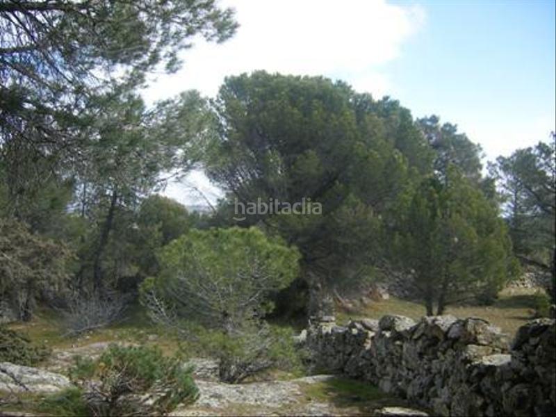 Foto c86899ff-81f9-4035-9371-6f090df22ec6. Terreno residencial en Cebreros