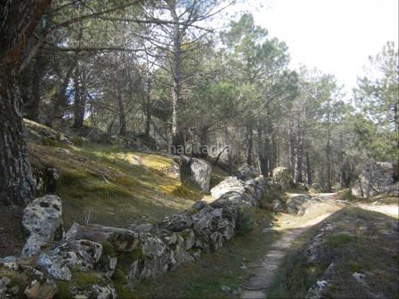 Foto c9b1aa57-2a18-4cee-bf56-d6566e1da646. Terreno residencial en Cebreros