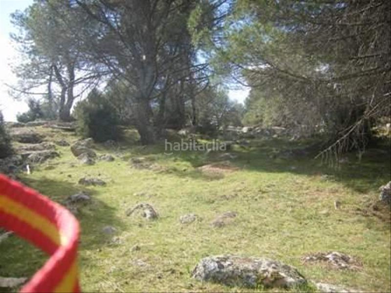 Foto df550bf0-49eb-402a-8c1c-0a33841946be. Terreno residencial en Cebreros