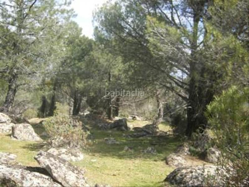 Foto e4a250e5-2fbd-4dc4-8c3d-5d83b245dfad. Terreno residencial en Cebreros