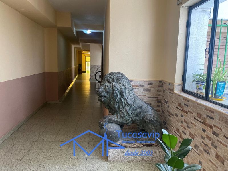 Foto d6b62f63-d798-4ab5-9656-e6c0f9b710db. Pis a Cebreros