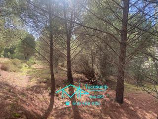 Propriété à Cebreros. Finca rústica en cebreros