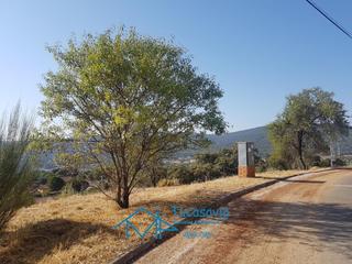 Terreno residencial en San Martín de Valdeiglesias. Parcela en urbanización en san martin de valdeiglesias
