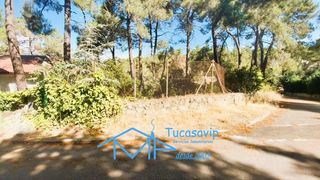 Terreny residencial a Rozas de Puerto Real