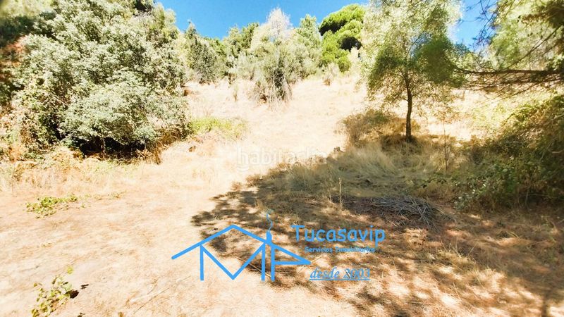 Foto 9fc3d97a-9874-4cb7-903a-b1840d24d810. Finca rústica a Cadalso de los Vidrios