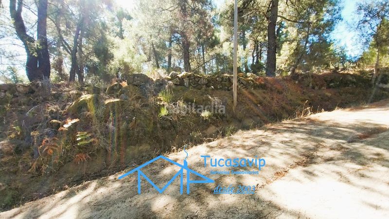 Foto bc1f95e8-9c17-4240-bb89-156f68ca4833. Finca rústica a Cadalso de los Vidrios