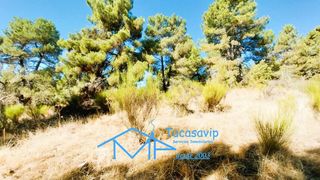 Rural plot in Cadalso de los Vidrios. Parcela rústica en cadalso de los vidrios