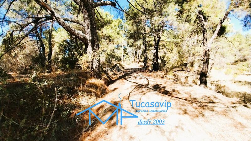 Foto f6f48ba5-3246-4b7c-b6f8-f814f1031de1. Finca rústica a Cadalso de los Vidrios