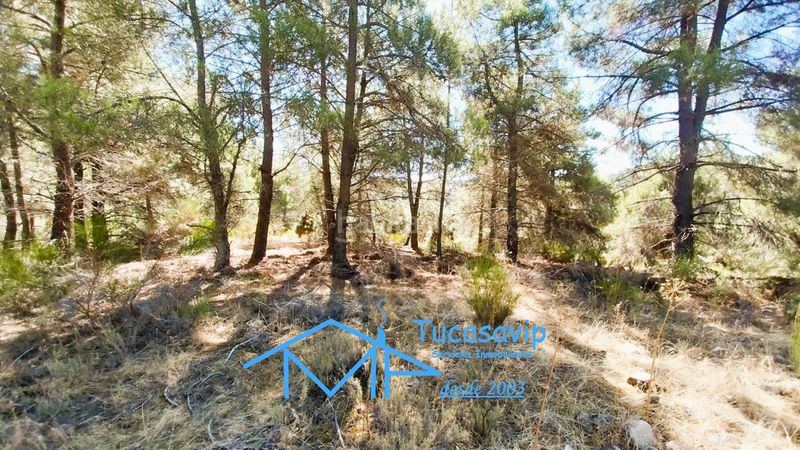 Foto f9300c13-e312-48ae-a629-60972a6d887e. Finca rústica a Cadalso de los Vidrios