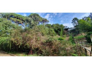 Finca rústica  Agudes. Terreno en venta en santa maria de palautordera