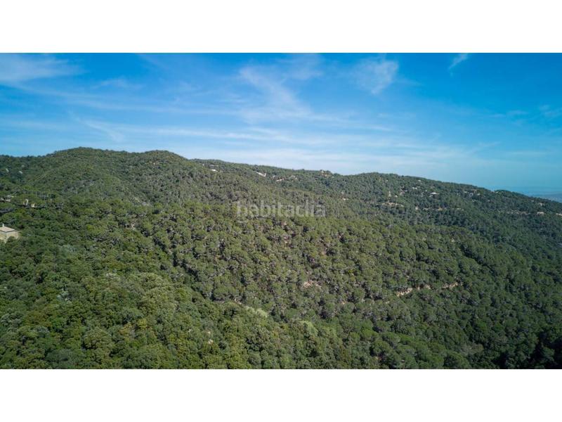 Foto 418fc3c6-6292-48f9-b9ed-27650e3d6ac4. Masia a Tordera Tordera