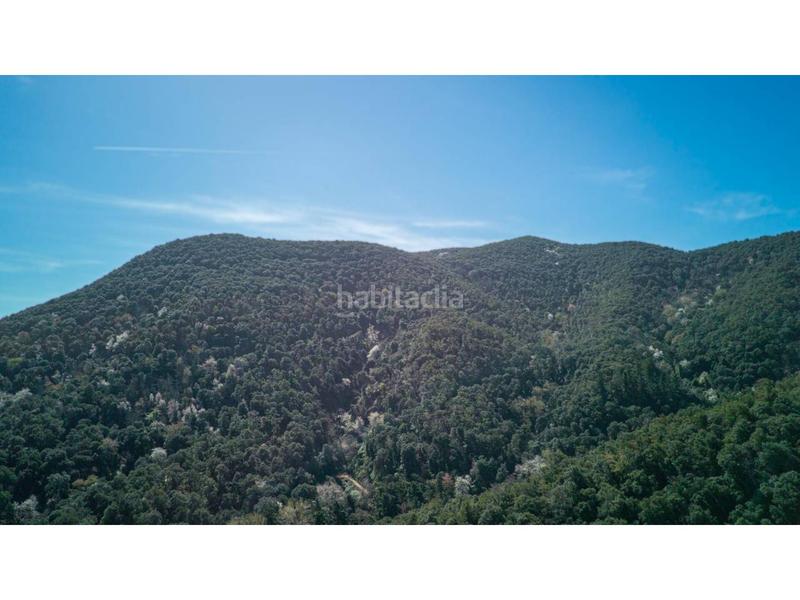 Foto f7d277b5-d1eb-4a83-960d-cf2880e61c16. Masia a Tordera Tordera