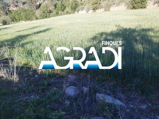 Finca rústica  Igualada. Solar agrícola en venta.
