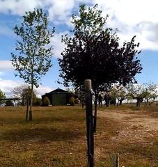 Finca rstica en Calle aa 7. Finca de 60.000 m2
