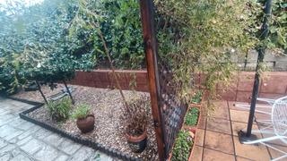 Chalet in Calypo Fado