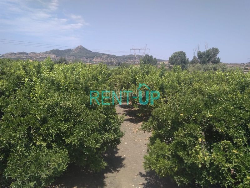 Foto 086d52cf-16a4-4864-b6af-a5606440a278. Terreny residencial a Xàtiva