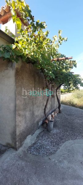 Foto 3b61752d-0317-4b8b-8361-e54aeabbefe4. Terreny residencial a Xàtiva