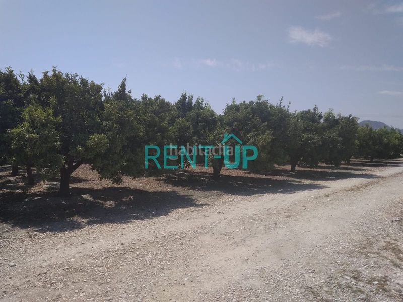 Foto 53828626-a94b-4902-b18d-a18df38e5054. Terreny residencial a Xàtiva