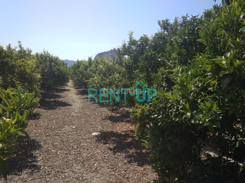 Foto 5af12746-ac64-4138-91a7-220d2c6504d3. Terreny residencial a Xàtiva