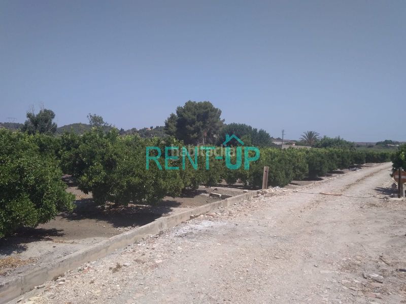 Foto 5cca1dd6-6b35-473e-8e0b-f1c3d03583e7. Terreny residencial a Xàtiva