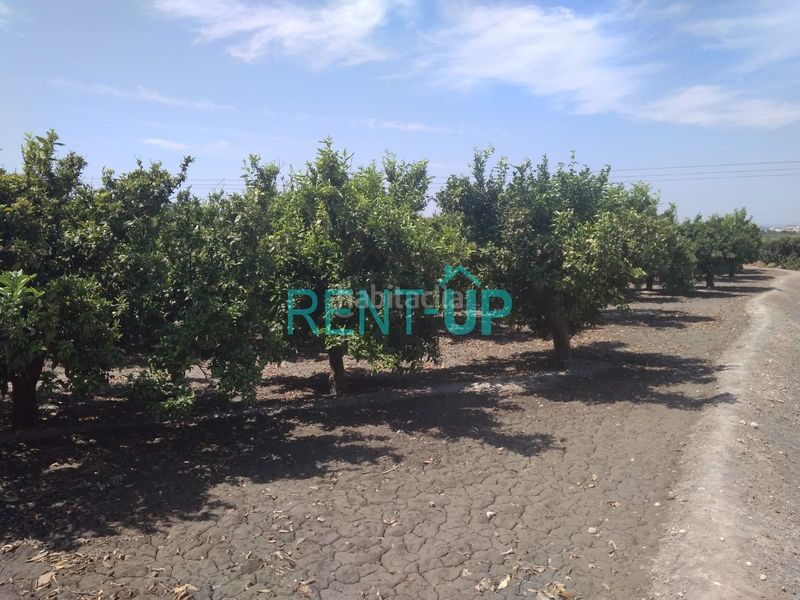 Foto f3c98d51-be51-4a0d-b24b-e4f8c69a5bbb. Terreny residencial a Xàtiva