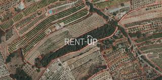 Finca rústica a Vallada. Muy cerca de la poblacióon de vallada