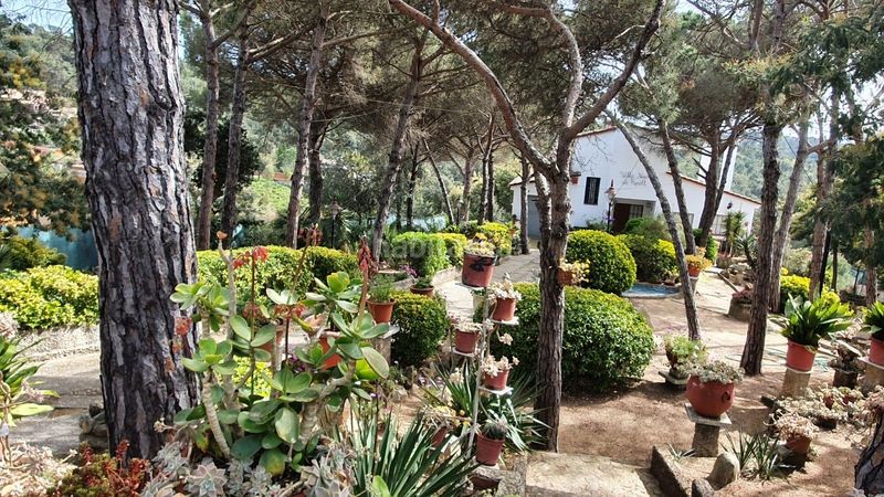Foto 71e664d6-42e3-4cd7-ba75-26941d31b28a. Casa amb aparcament piscina a Mas Altaba - El Molí Maçanet de la Selva