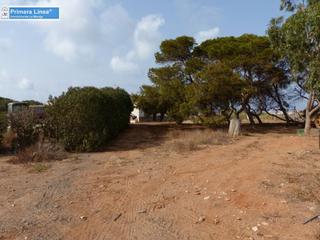 Bauernhof in Los Nietos. Venta de finca agrícola en los belones