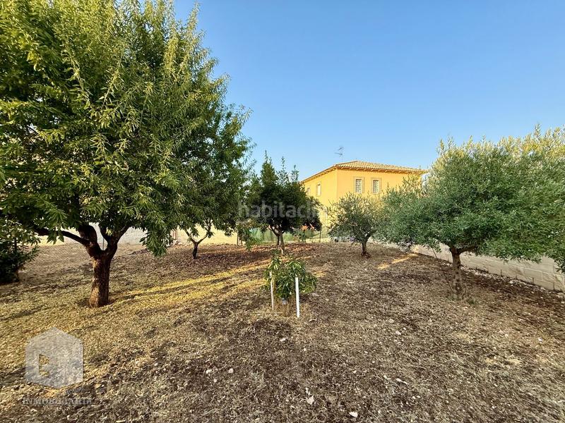 Foto e5980cbb-5431-4727-bb68-a83726fda0d9. Maison avec chauffage dans Casar de Escalona (El)
