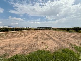 Fondo rustico  Partida casco. Parcela agraria,cercania paterna