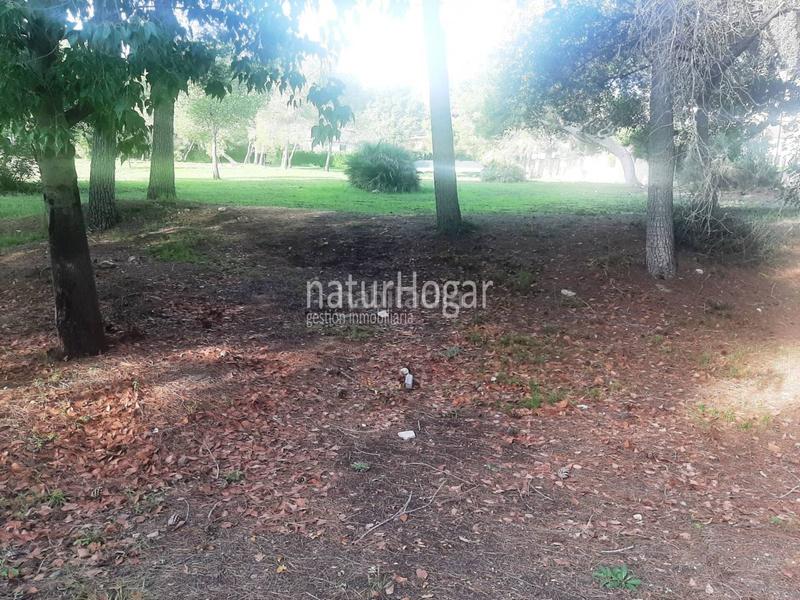 Foto 3578f52d-4af9-47b0-bb54-70dede367f84. Gewerbliches grundstück in La Cañada Paterna