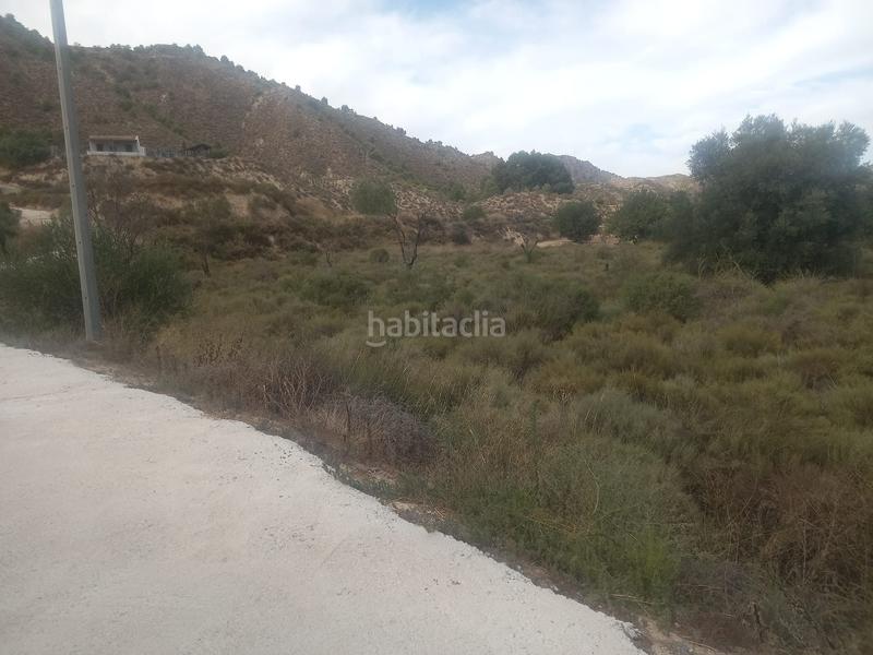 Foto b45f73c3-189d-4213-9b58-443630b87e2a. Fondo rustico in Beniaján Murcia